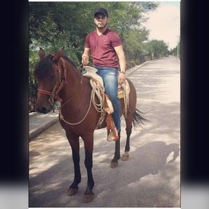 Meet your Posher, Ricardo